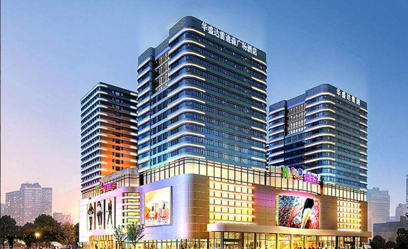 �����׵�ɭ�Ƶ�